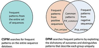 Dichotomic Pattern Mining Integrated With Constraint Reasoning for Digital Behavior Analysis